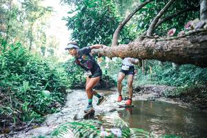 BIB: 
                            <button type="button" onclick="openModal(25433540)" class="btn btn-primary btn-sm float-right btn-popup" data-toggle="modal" data-target=".modal-high-quality">
                        <i class="fas fa-shopping-cart"></i> Add to Cart
                    </button>
                                            <button type="button" onclick="isThisMe(25433540, true)" class="btn btn-success btn-sm float-right btn-popup btn-isme hidden" data-toggle="tooltip" data-placement="bottom" title="นี่คือรูปของคุณใช่ไหม คลิกที่นี่เพื่อเอาเข้าอัลบั้ม">
                        <i class="fas fa-plus"></i> Add to album
                    </button>
                    <button type="button" onclick="isThisMe(25433540, false)" class="btn btn-warning btn-sm float-right btn-popup btn-isnotme hidden">
                        <i class="fas fa-ban"></i> Remove from album
                    </button>